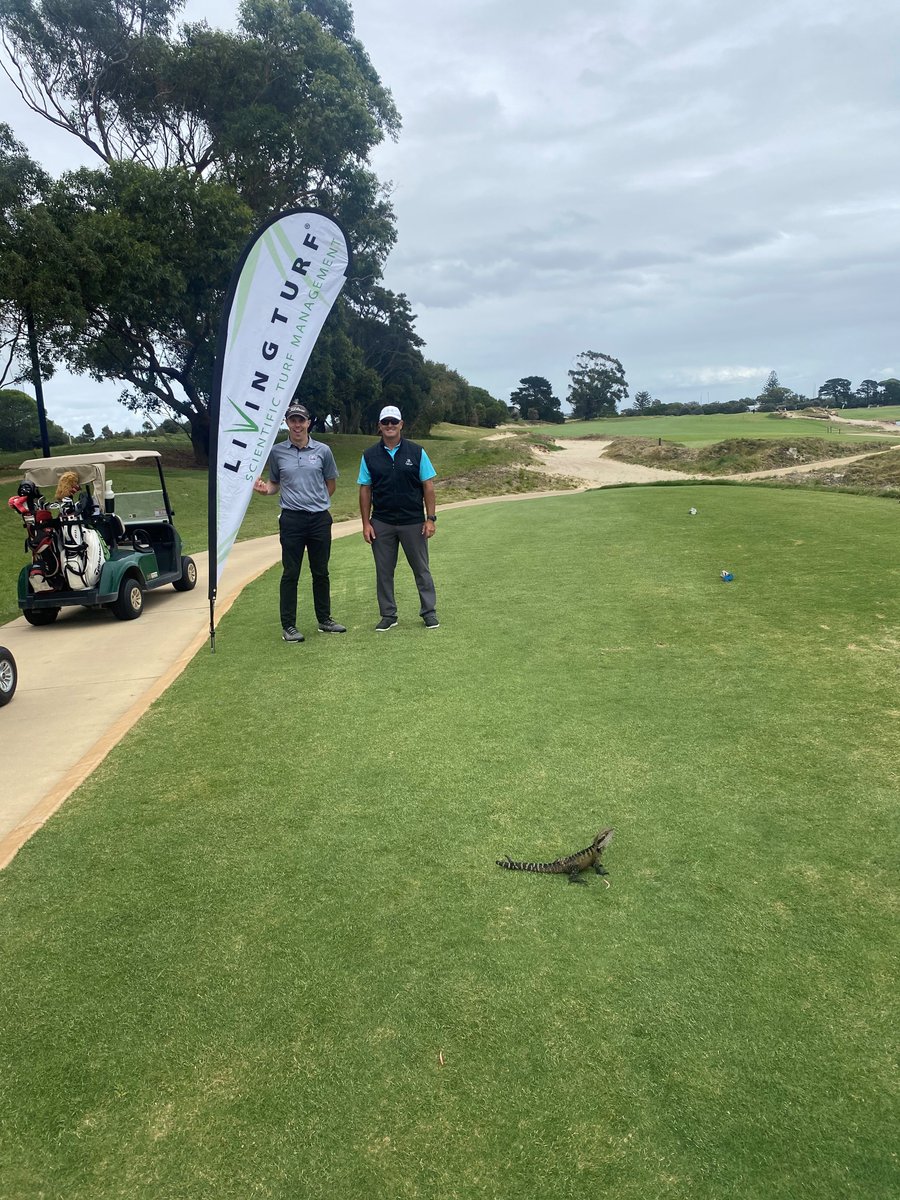 Here's a great shot from the NSWGCSA golf day yesterday at the Lakes Golf Club, Luke and Dave were joined by some wildlife on the Living Turf long drive hole! 
#livingturf #golf #turf #onthegreen #greenkeeper