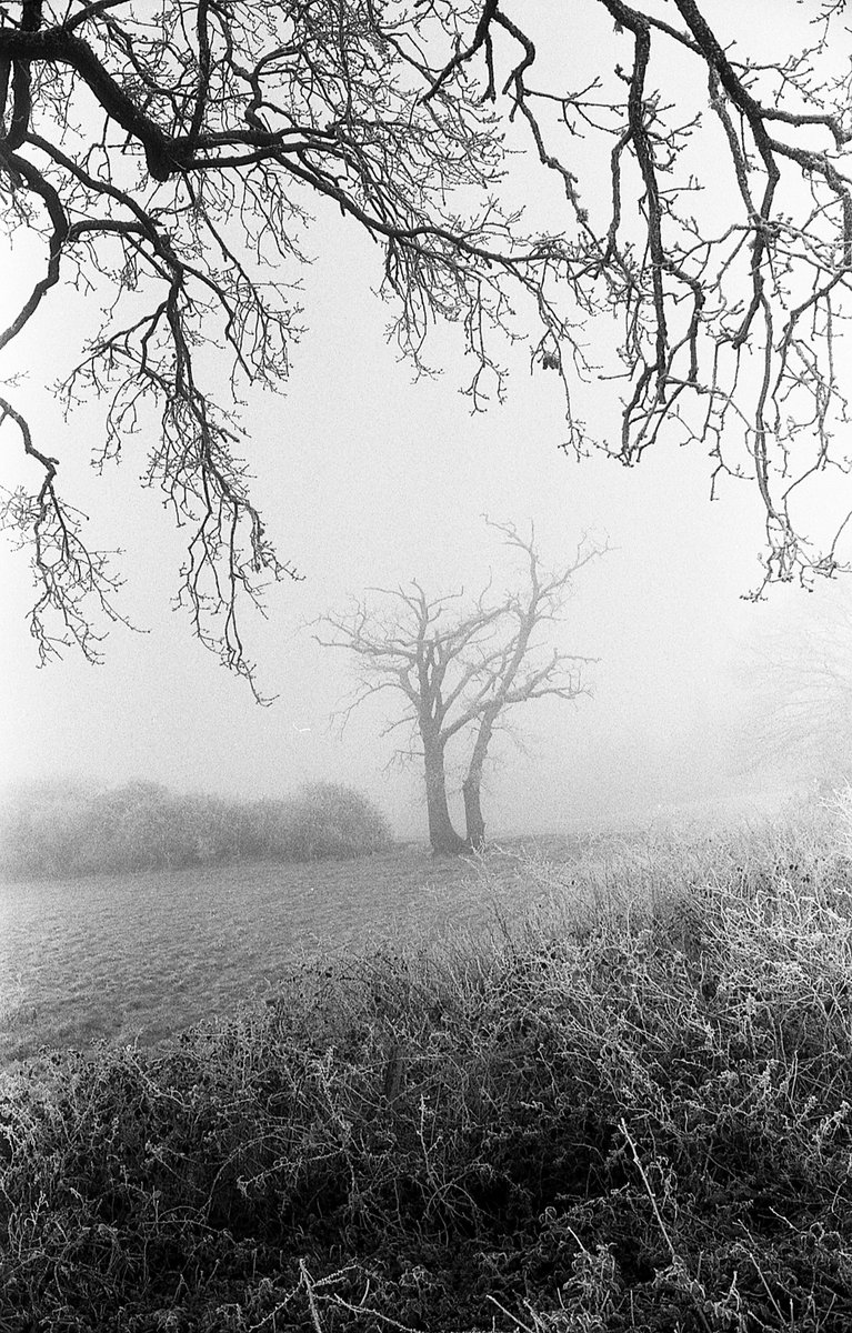 AAPHCourses's tweet photo. "35mm B&W film: Very thick freezing fog, mixed with film grain creating a mood hard to achieve with digital. Look as though taken a hundred years ago, not last week..!", captured by Tutor Rob Irving. 📷: https://t.co/uPPaUxf7LY
#blackandwhitephotography #filmphotography #AAPH https://t.co/UC8pqfu46L