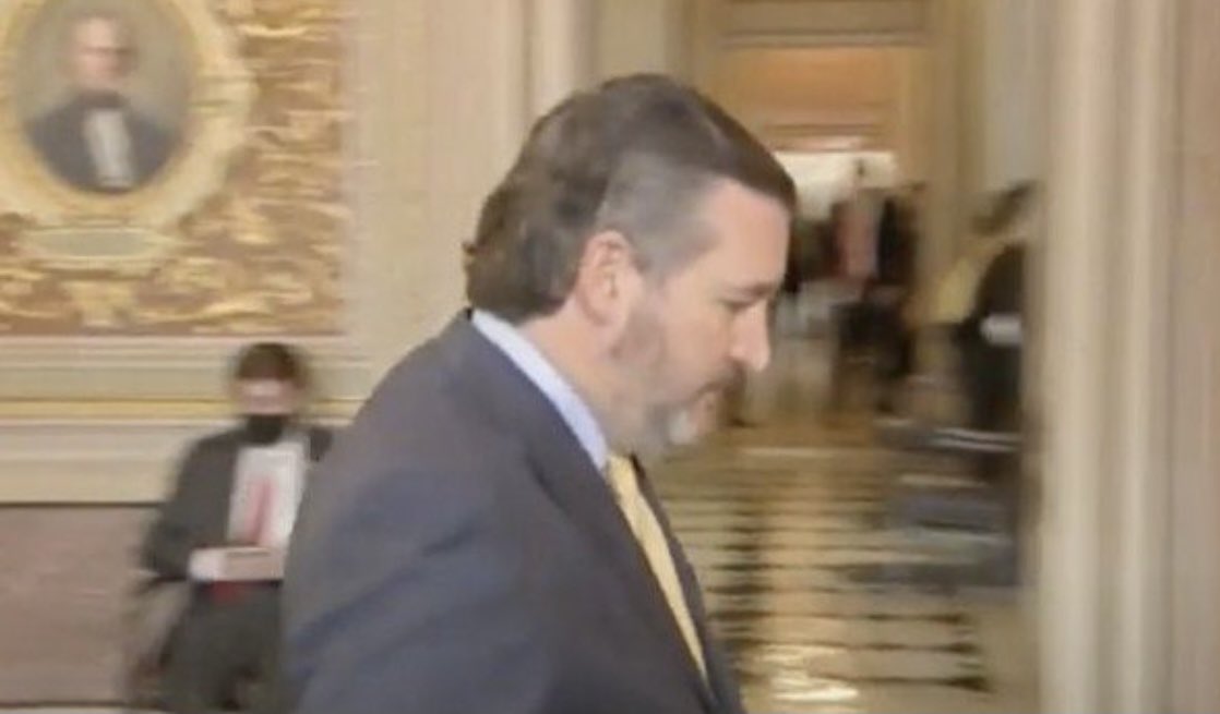 NotHoodlum's tweet photo. We never had snow storms in Texas before RafaelβTedβ Cruz started wearing his taxi driver style mullet. Coincidence? https://t.co/kdFv8INskR