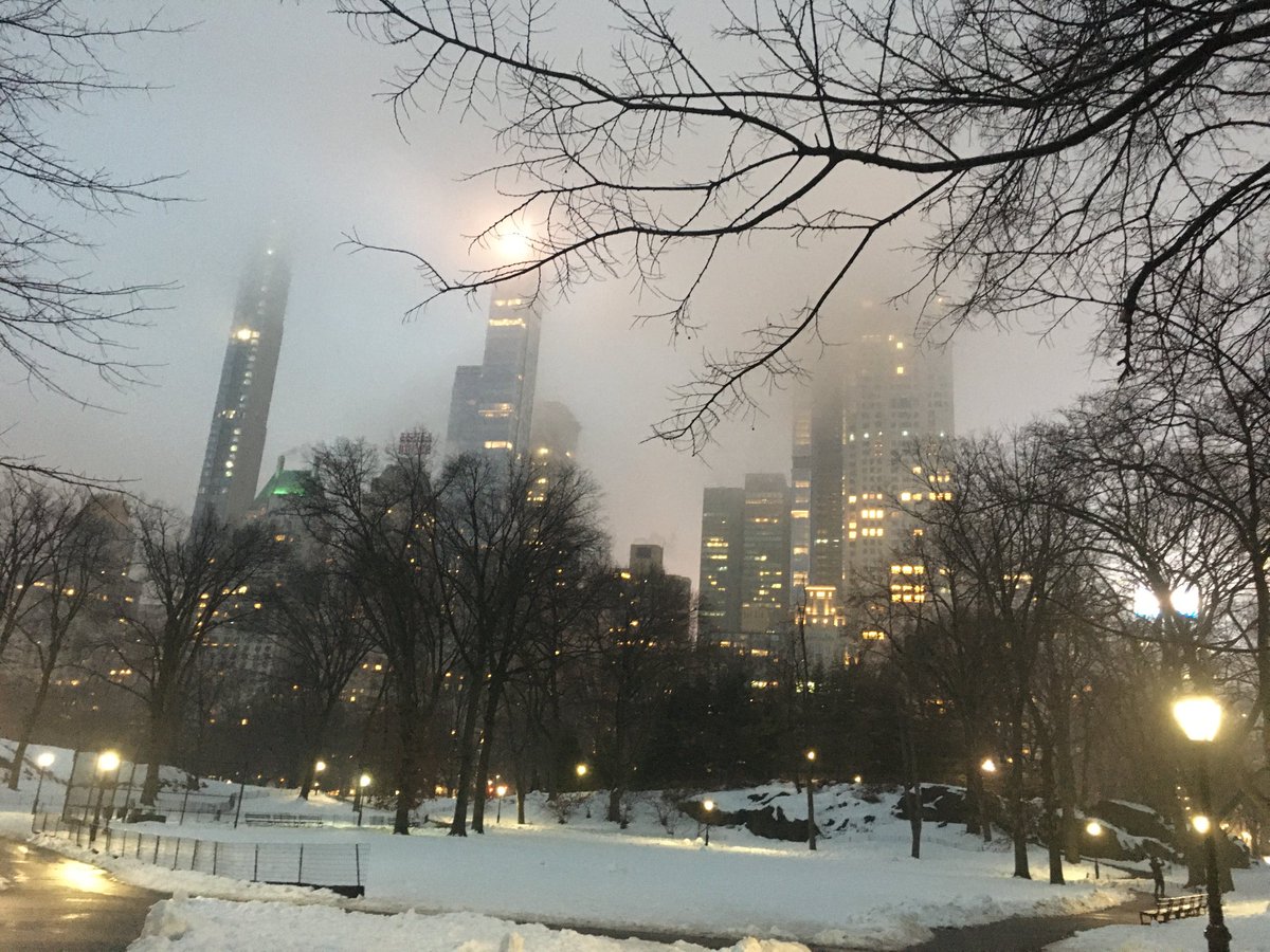 Misty CPS in the snow. #lovenyc