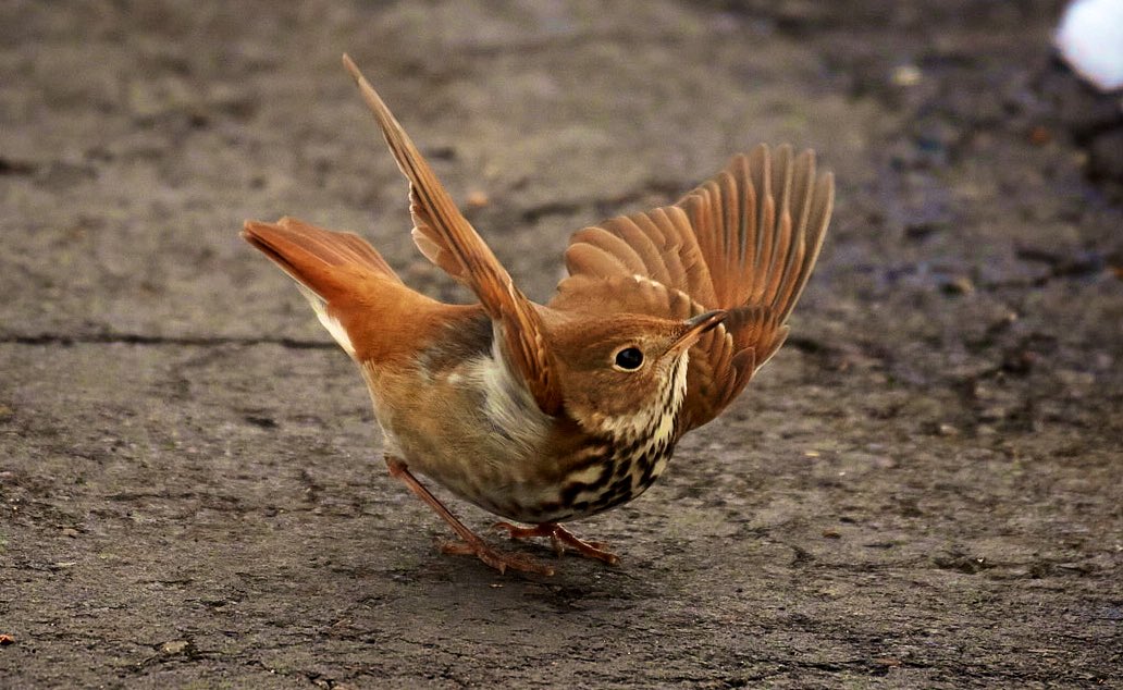 I’m not sure what this is!! 