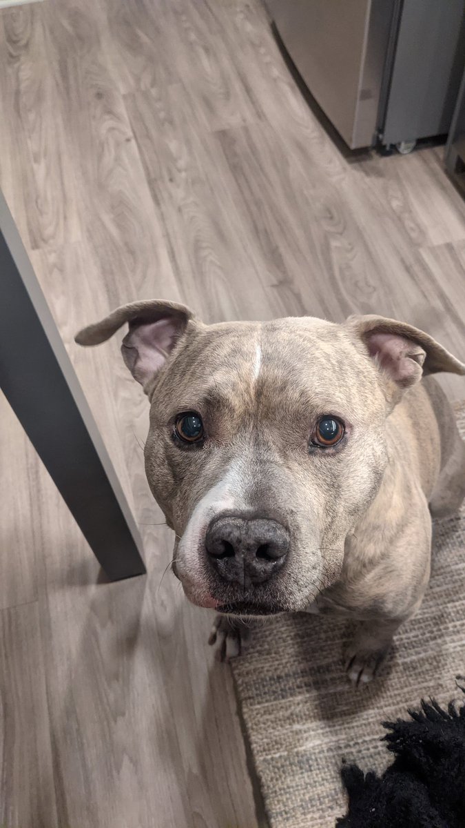 Darling Nisi tweet media