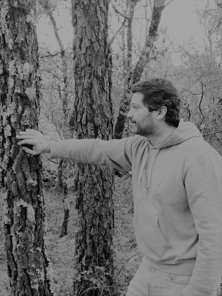 Diogo Barros tweet media