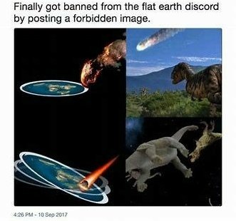 FriendlyMuppet's tweet image. 😂🤣