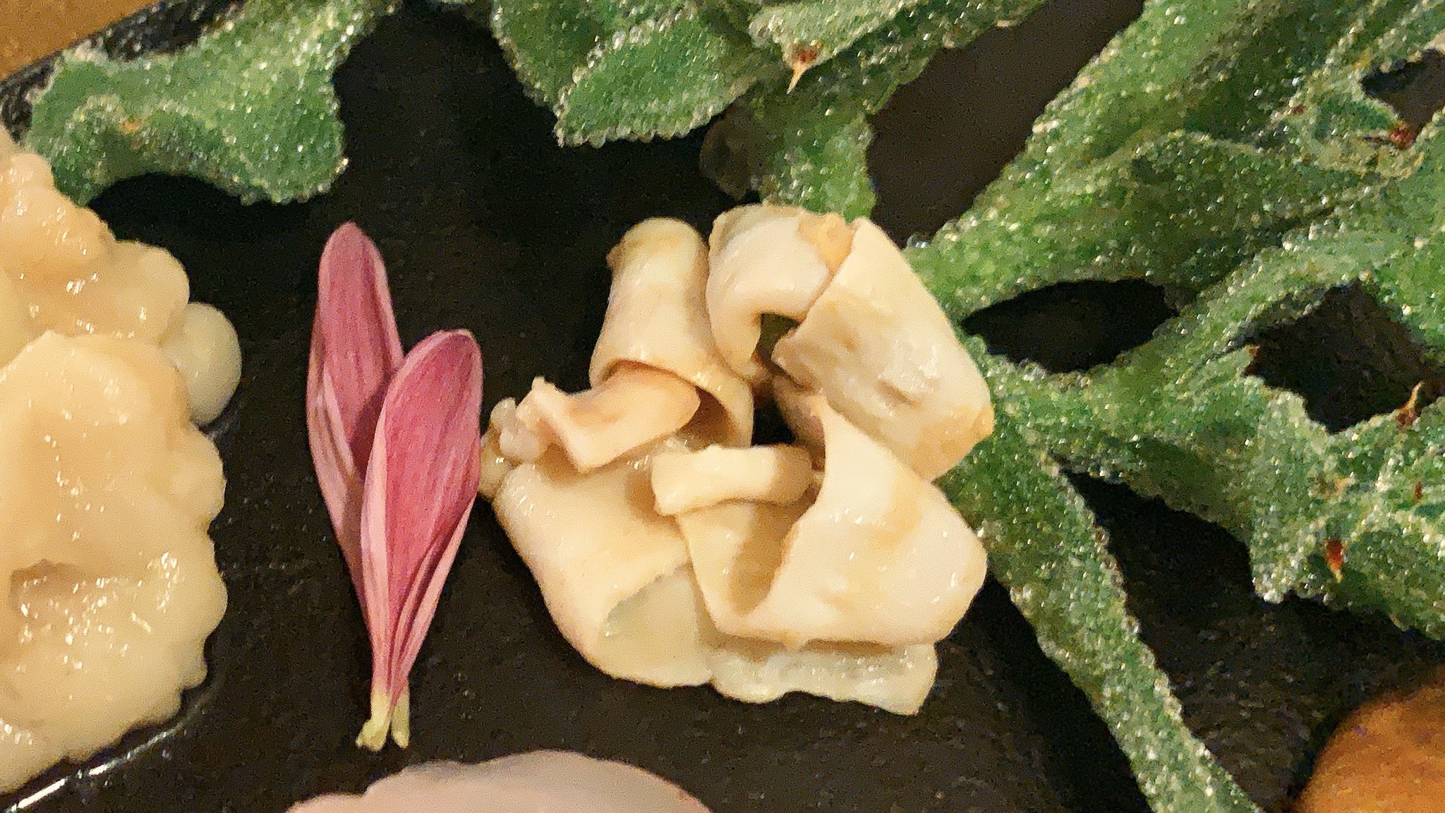 オーロラ Aurora おうちごはん クエの内臓食べ尽くし 憧れのクエを解体したよ まずは 内臓料理で楽しむよ 胃袋 腸 キモ ウロコ エラ 幽門垂 内臓脂肪だよ お刺身も少しだけ味見 書き切れないのでリプに感想を
