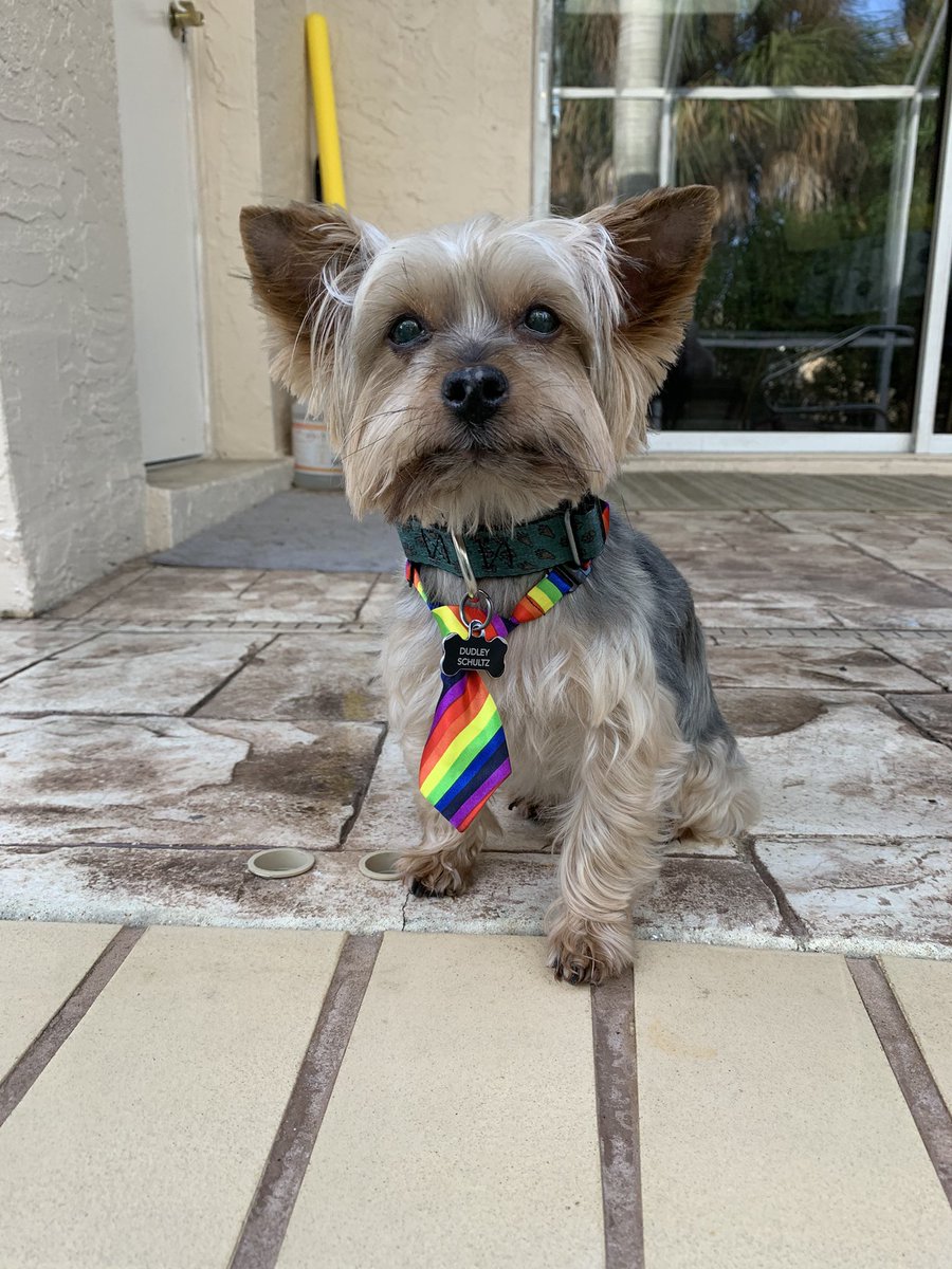 Dudley’s ready for Mutt Strutt fun starting at 12pm this Saturday 2/20!