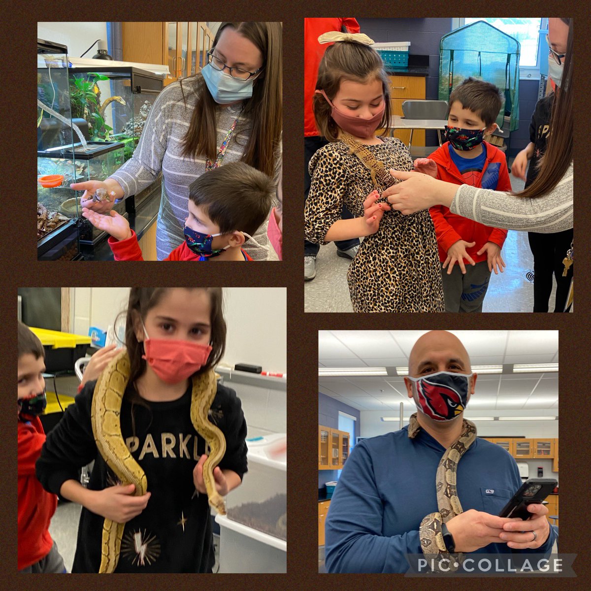 Great day at SMHS!  Staff pancake breakfast courtesy of SGA and ihop.  It was also “Animal Encounters” day for the staff and their kiddos (thanks Ms. Slatcoff)!  

There was such a positive energy today as teachers prepared to welcome back our students tomorrow!  <a href="/SMHS_Official/">House of CARDS ♣️♥️</a>