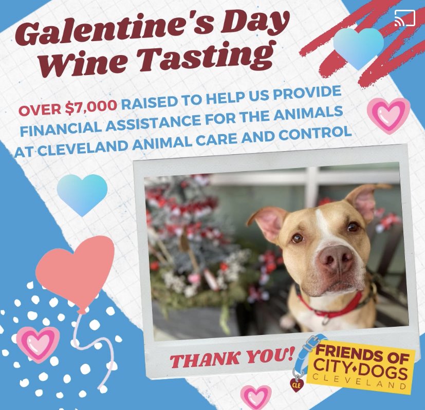 CityDogsCLE's tweet photo. Rocky wants to bark out loud &amp; thank everyone who supported the Virtual Galentine's Day Wine Tasting. The event raised over $7,000 for Friends of CITY DOGS Cleveland!

Thank you to Flight Cleveland, Sweet Bean and City Dog Suzy for partnering with us! #allforthedogs https://t.co/td0yEYaizK