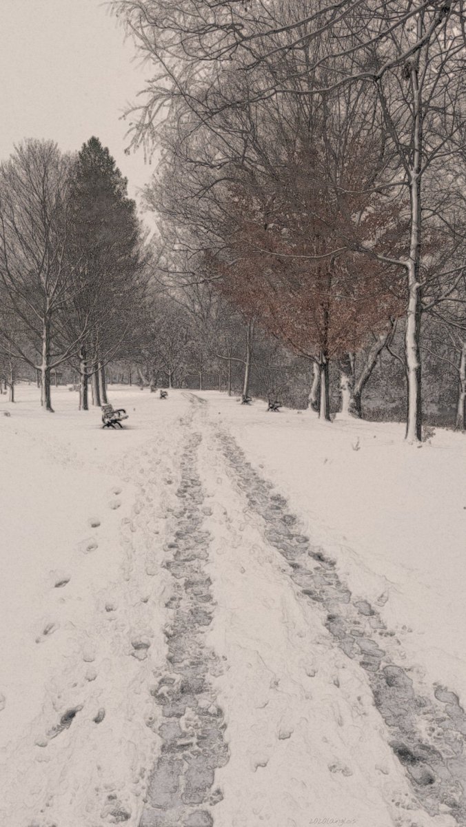 Gibbons Park, London Ontario.
.
.
.
.
#gibbonspark #London #Ontario #londonontario #ldnont #mycanada #2020langlois #winter