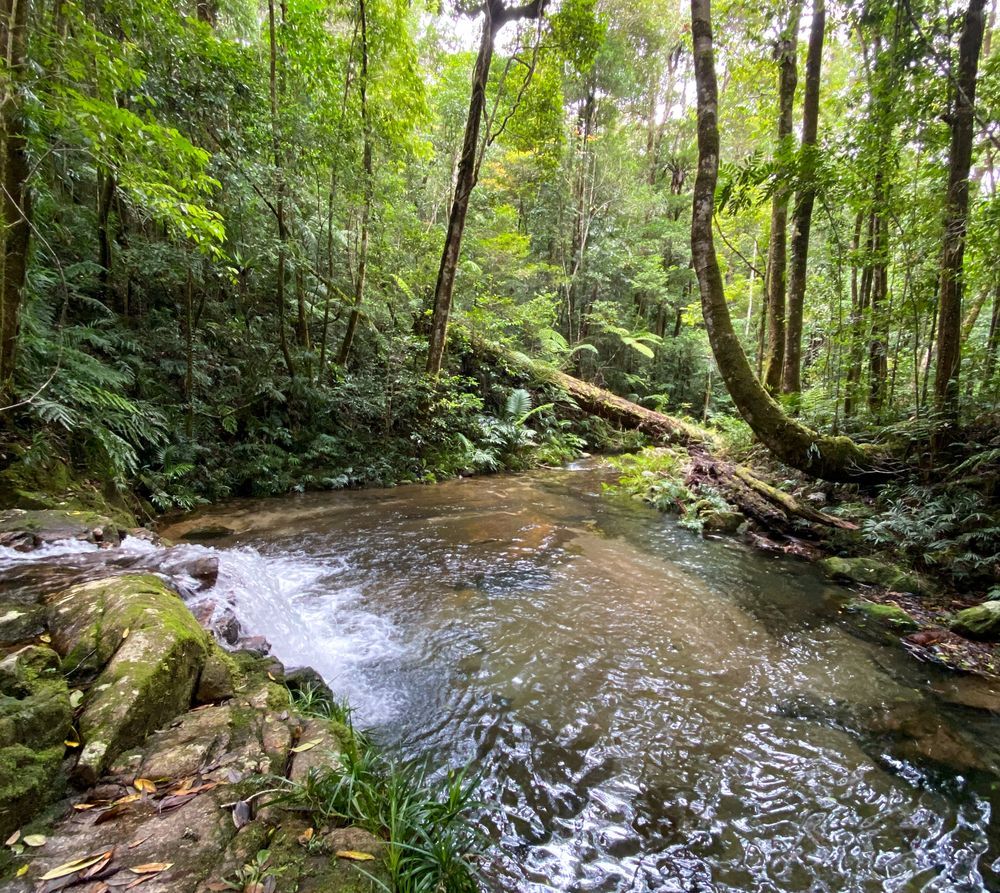 Wanderstorie's tweet photo. On this hike you will see both Dolby and Crystal Creeks, Dolby's and Johnstone's huts, an array of water races, and several mines of varying sizes. So, whether you are a history buff or nature and landscape enthusiast, there is something for everyone here.
https://t.co/Yev56RXWRq https://t.co/7Vruizfxil