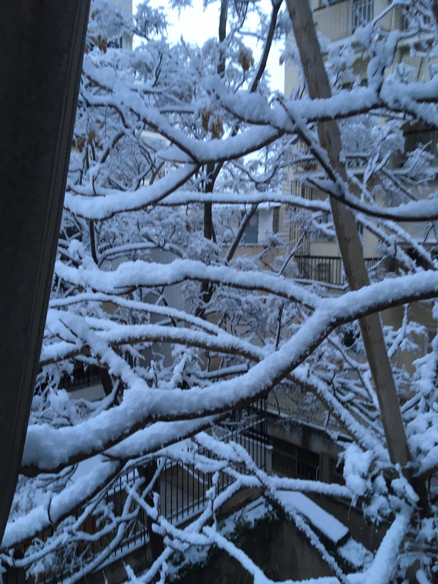 I slept in Greece and I wake up in Switzerland! The view out of our window looks quite white today!!!