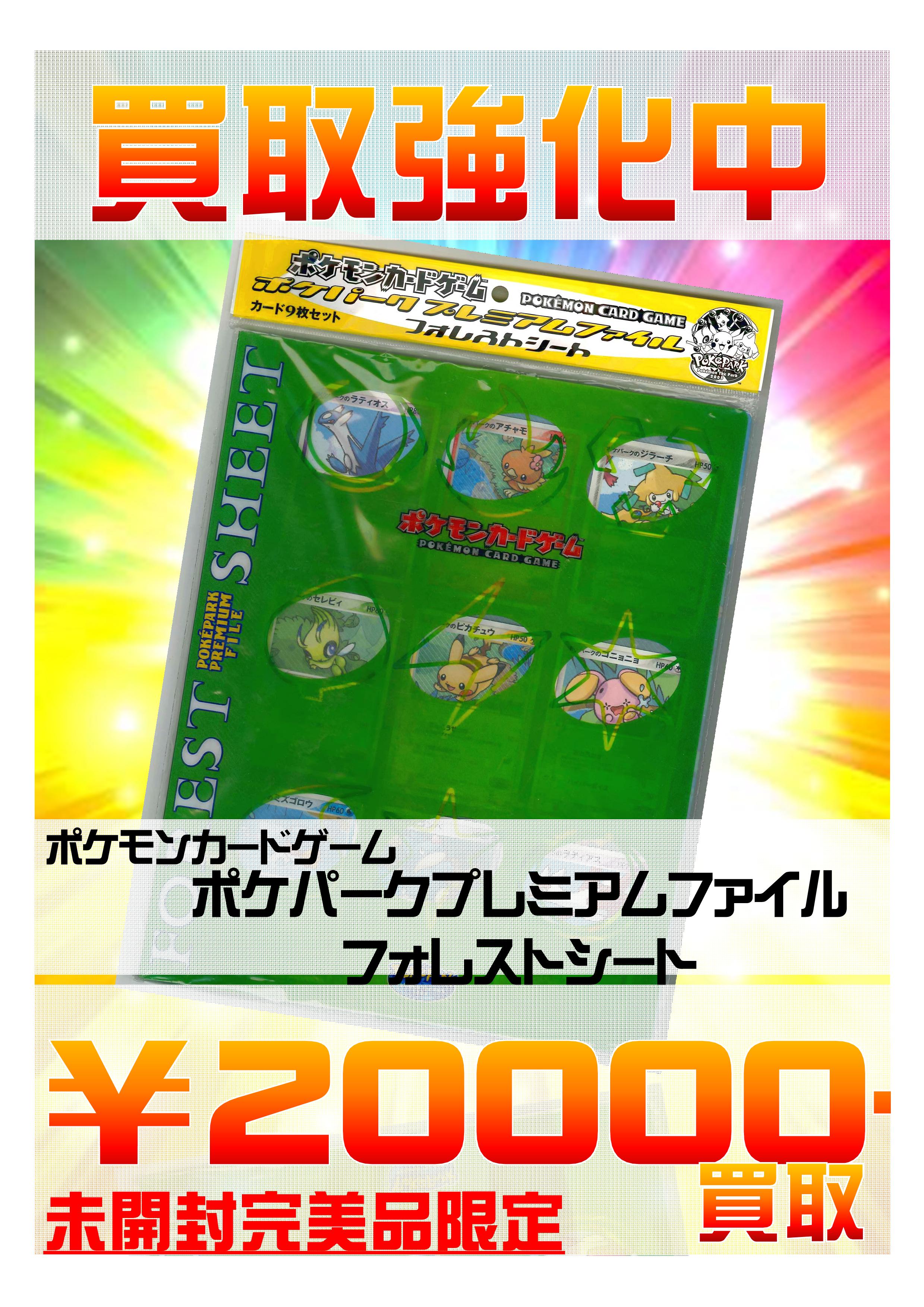 ポケモンカードゲーム プレミアムファイル フォレストシート Rehda Com