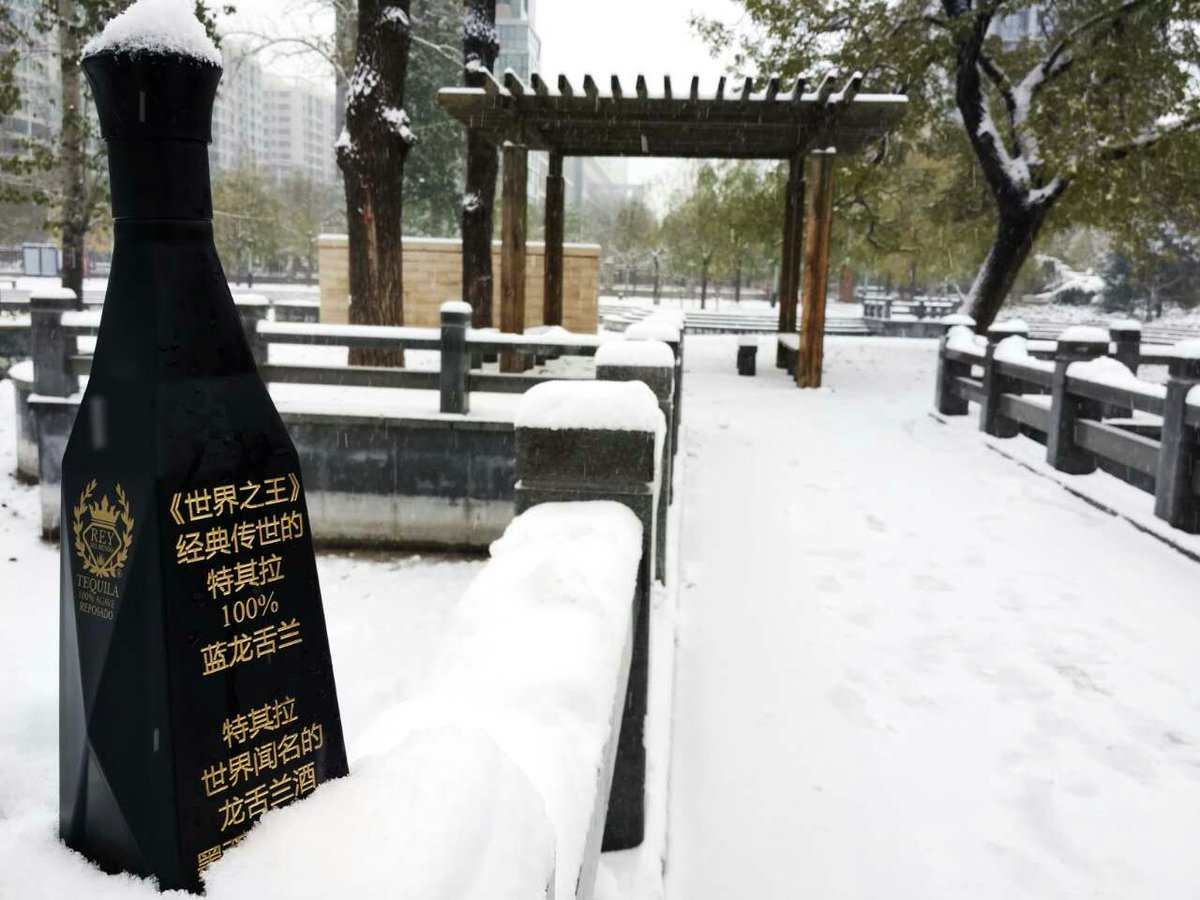 tequilaRDMAsia's tweet photo. Sesión de fotos #tequila #ReyDelMundo 🇲🇽 en el frío invierno de #Beijing #China 🇨🇳 .  

#MéxicoExportaTequilaAlMundo
#MásDeMéxicoEnChina
#ProductosMexicanos
#BotellasPersonalizadas
#ObsequiosConDistinción
#RegalosPersonalizados https://t.co/StRFGAYTxs