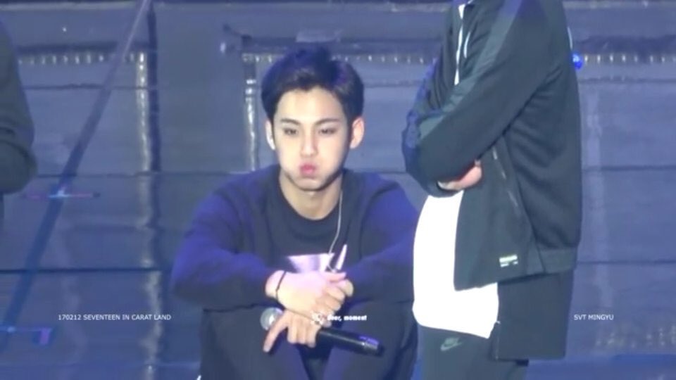 EXTREMELY heavy content from Kim Mingyu - a thread 