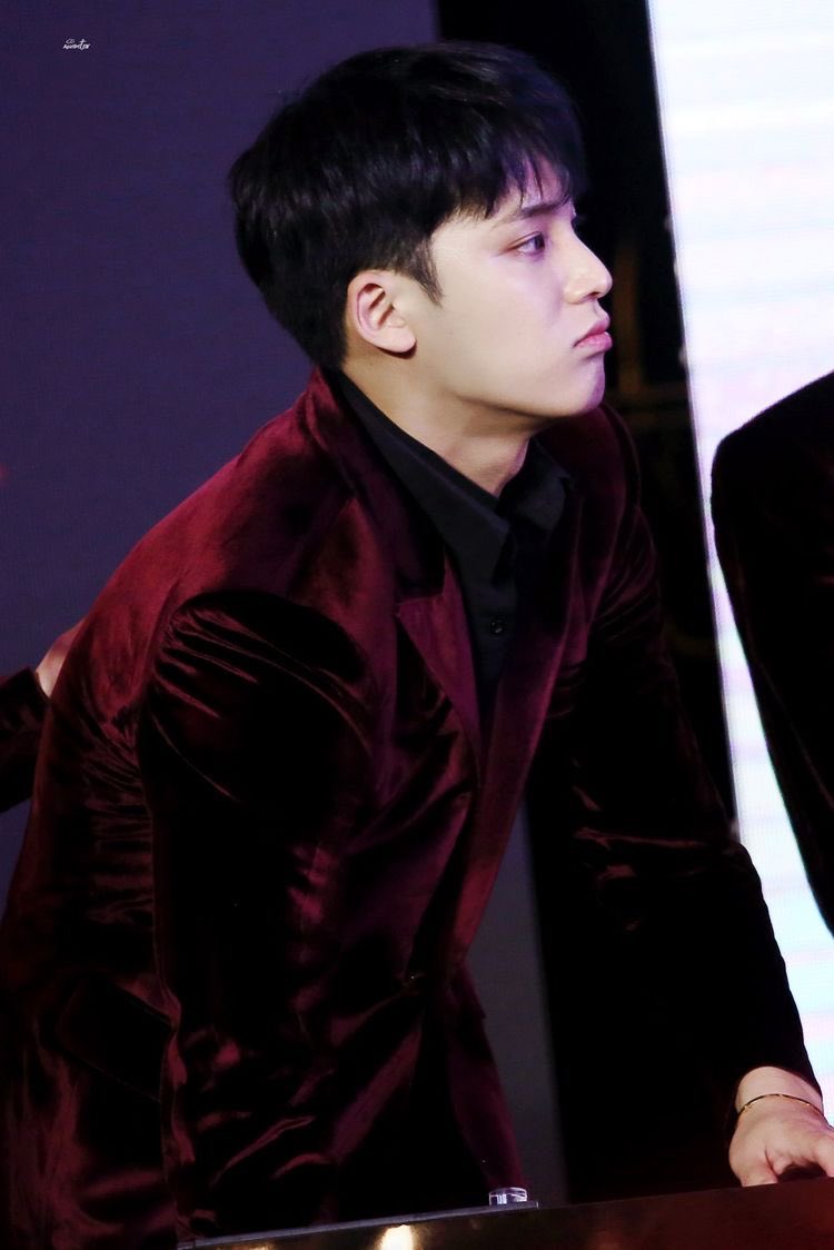 EXTREMELY heavy content from Kim Mingyu - a thread 