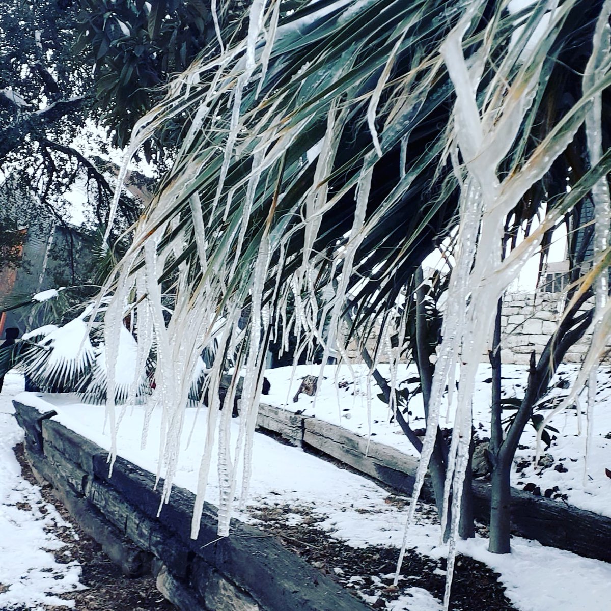 Snow Day❤ 2-15-2021