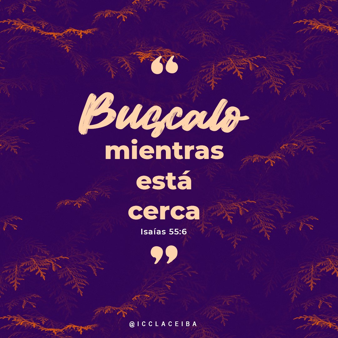 icclaceiba's tweet photo. Este es el momento oportuno para buscar al Señor . Ahora que está cerca es cuando deben llamarlo. Isaías 55:6 NBV https://t.co/xCPS0McHGu