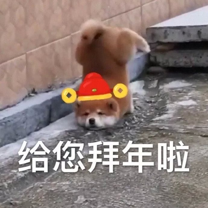 955_SUN's tweet photo. happy Chinese new year https://t.co/kQvAnmuKoB