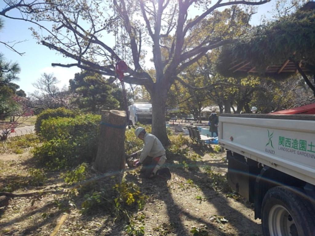 関西造園土木株式会社 明石公園では現在高木の剪定が行われています 高所作業車など多くの機械や車両を使いながらの作業となりますので 立入禁止区域などが広くあります ご迷惑をおかけしますが ご協力頂けたら幸いです よろしくお願い致します
