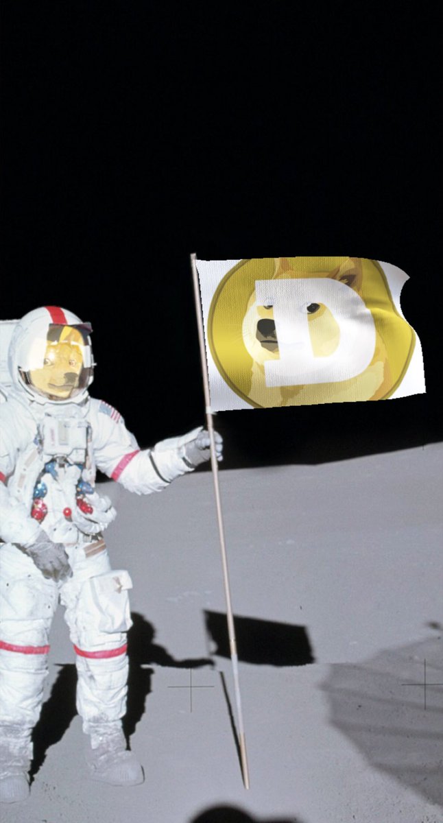 CitizenVoiceX's tweet photo. @elonmusk #dogecoin #ToTheMoon 
Void the 🐋, we’re going to the moon! 

#DogecoinRise #Dogecoinarmy #DogecoinToTheMoon #Dogecoins #crypto #cryptocurrency #Crypto #cryptocurrencies #crypto #HODL https://t.co/FBvSmKYd0U