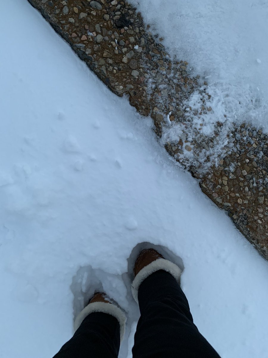 avalonjade's tweet photo. snowy day in atx https://t.co/N3h3Jlth4i