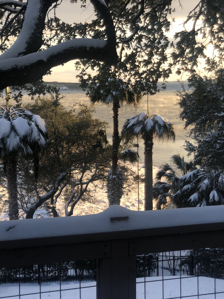 TraderTammy1's tweet image. Crazy snow day here in Austin, Texas. I never thought I’d see this in a million years. What is the weather like in your area? #Austin  #Snowpocalypse2021 #simplertrading  #brucemarshalltrading