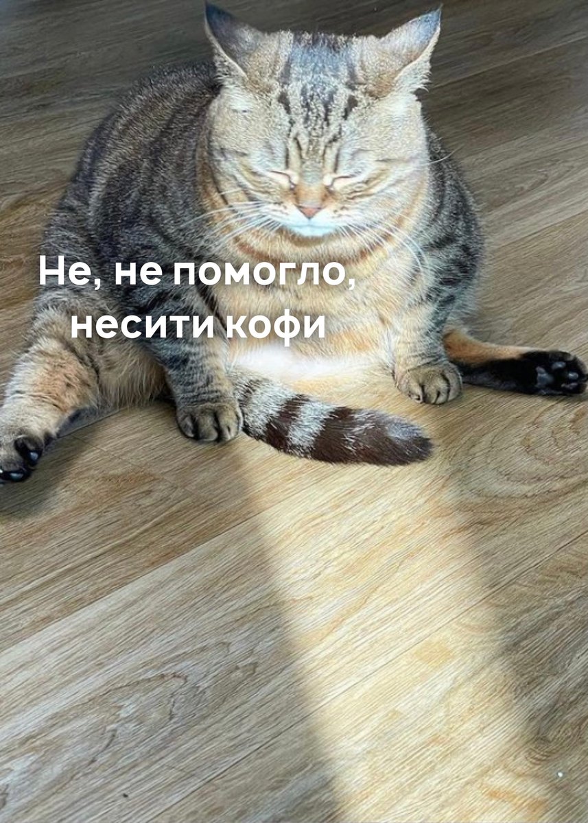 uralstudent tweet picture