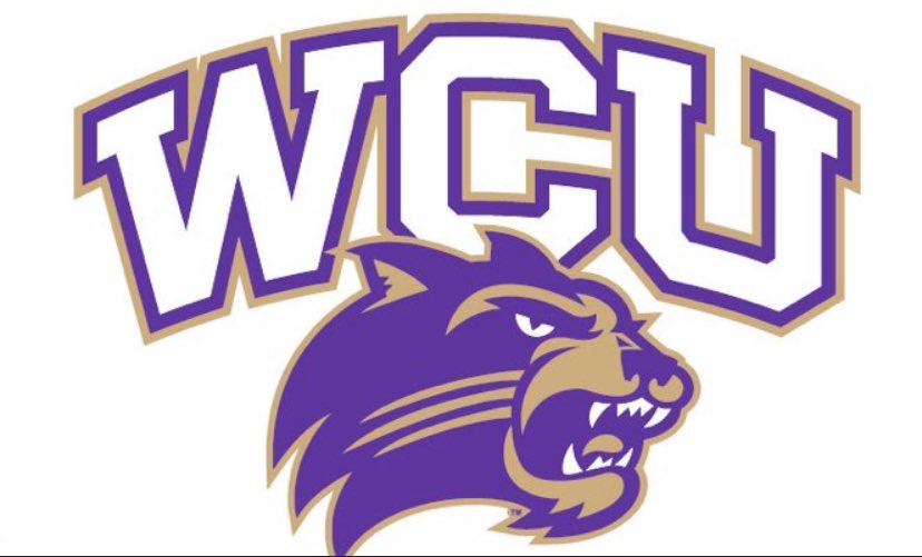 Tyler Hoff tweet media