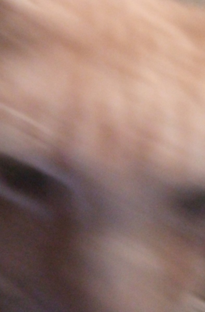 moving onto photos of my cat