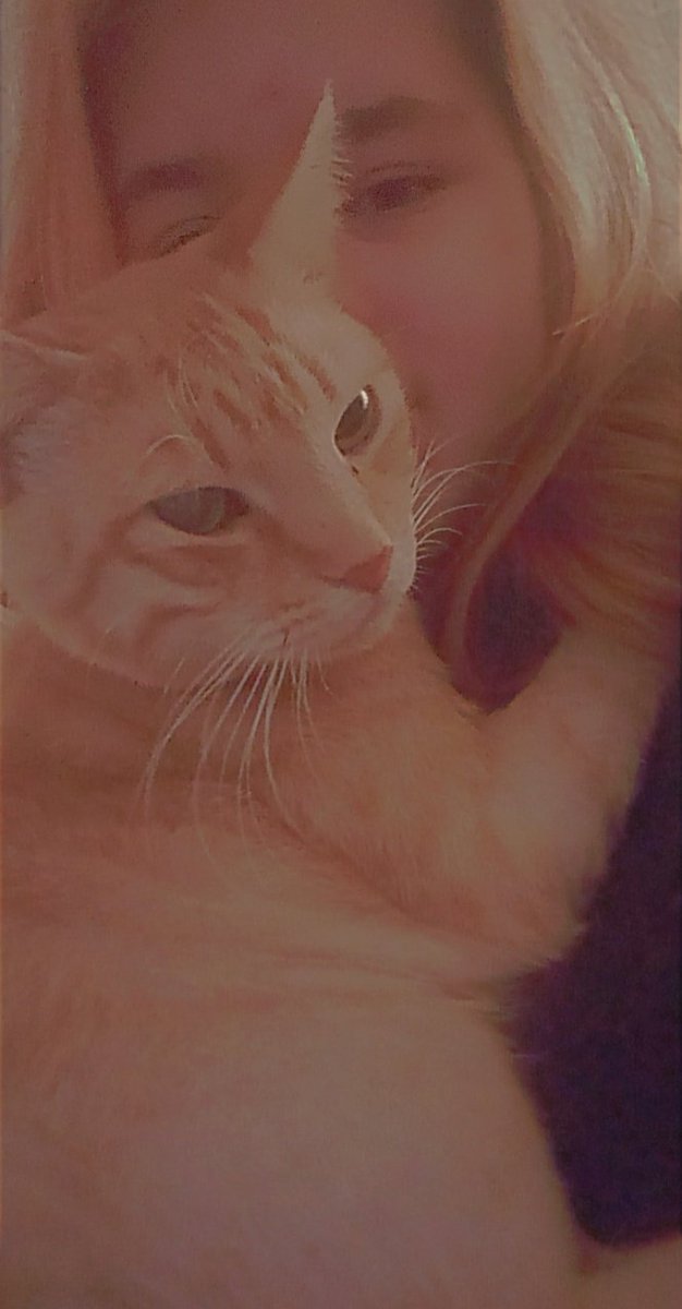 moving onto photos of my cat