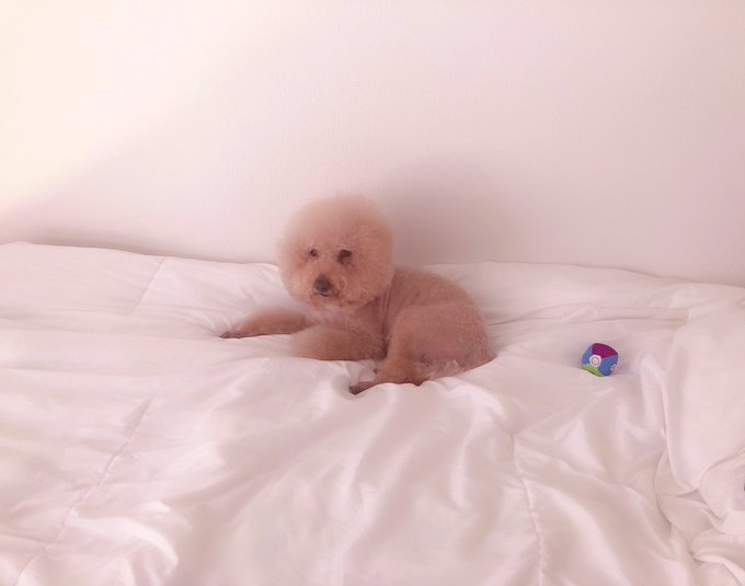 お疲れのようです😅 https://t.co/0uIrzheYbh<a href="/tag/ps4share"class="tags"><span>#ps4share</span></a>