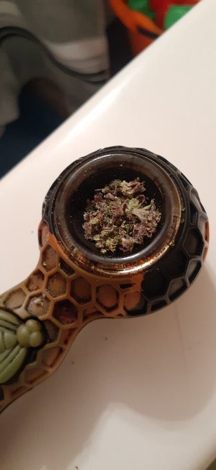 Blowin on that purrrrple, call that shit Grimace 💨💨 https://t.co/GJAo1eonbB<a href="/tag/letstakeatrip"class="tags"><span>#letstakeatrip</span></a><a href="/tag/hoodhippieproductions"class="tags"><span>#hoodhippieproductions</span></a>