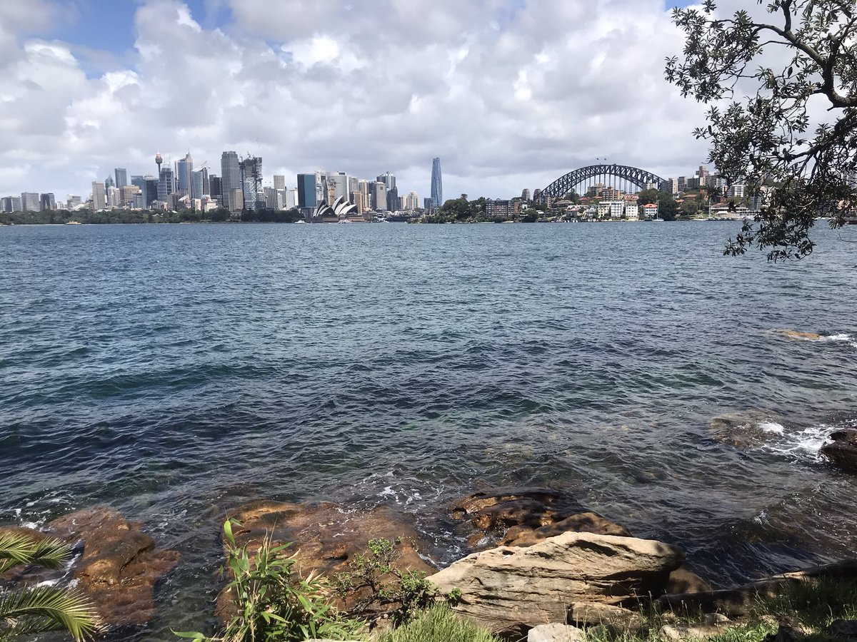 A lovely few days in the field with <a href="/SeaSteffers/">Steph Bagala</a> and <a href="/LivingSeawalls/">Living Seawalls</a> for fish sampling! 🐠