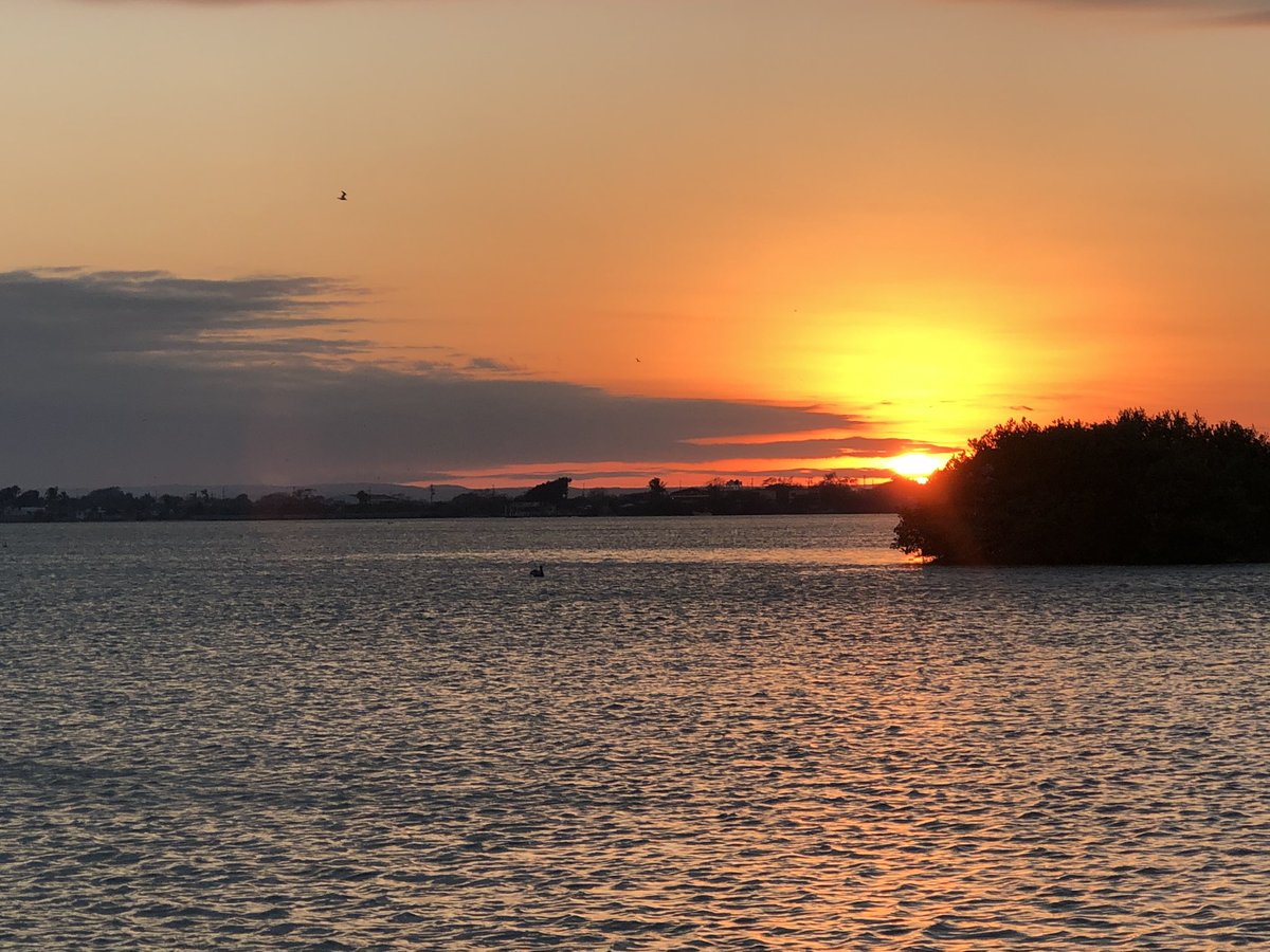 Donde hay amor, hay vida!!! 😍😍