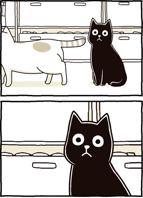 職場の猫 すべての膝をコンプリートしようとしてくる 職場の猫 すべての膝をコンプリートしようとしてくる