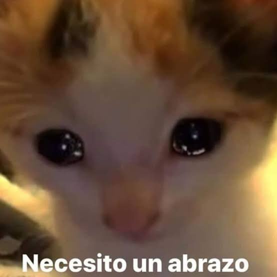 vaalealee's tweet image. Yo después de ver lo de Robotin :