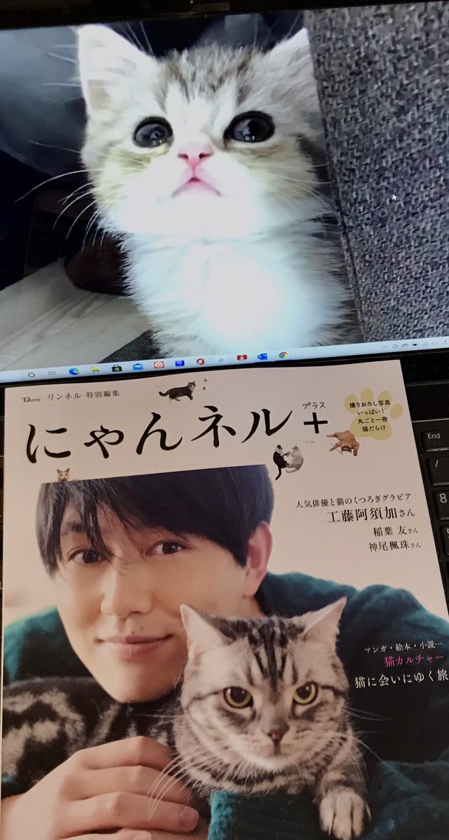 catmotimaru お昼休みに即行購入💫 もち様の雑誌デビュー❣️ 勝手
