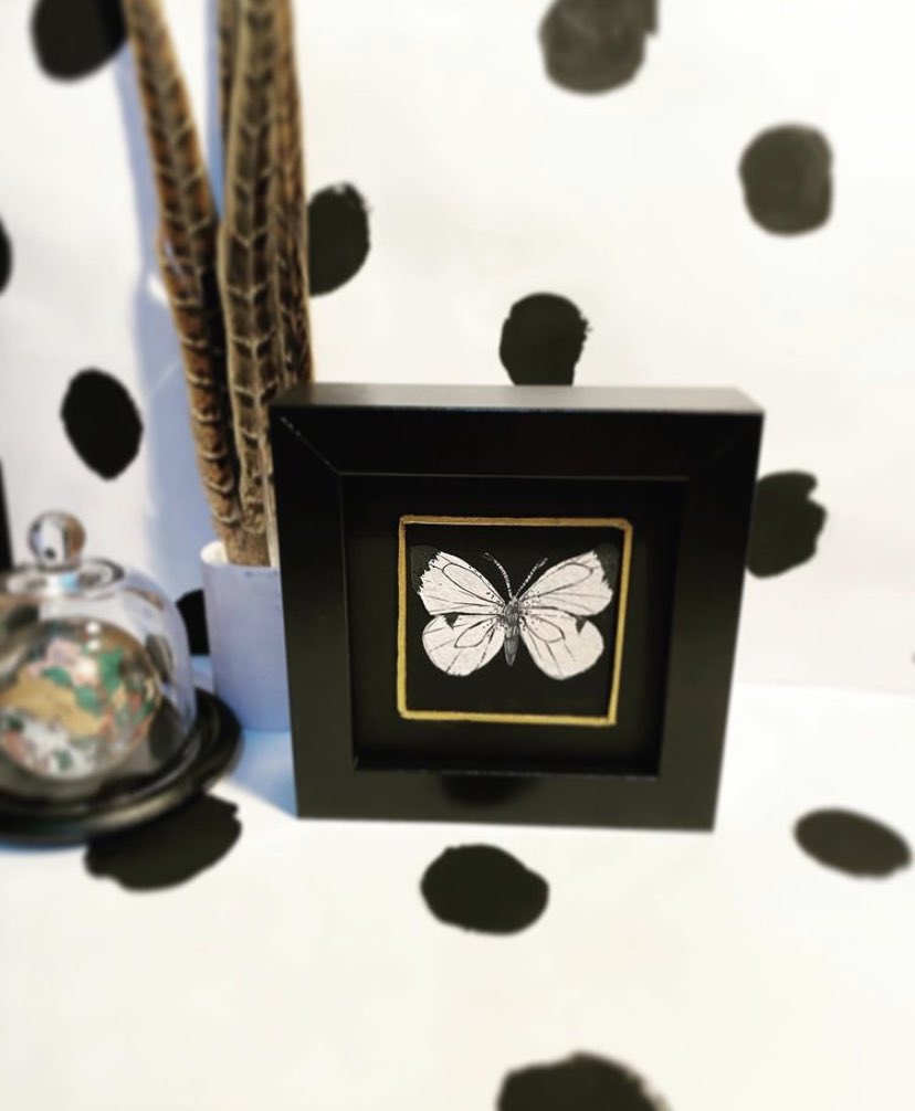 Hello my loves! This is a framed white butterfly #painting, with a gold leaf boarder all #handdrawn by me! 🖤🌜 #artistsontwitter #artist #handcrafted #art #crafts #IndependentArtist #nature #butterfly #goldleaf