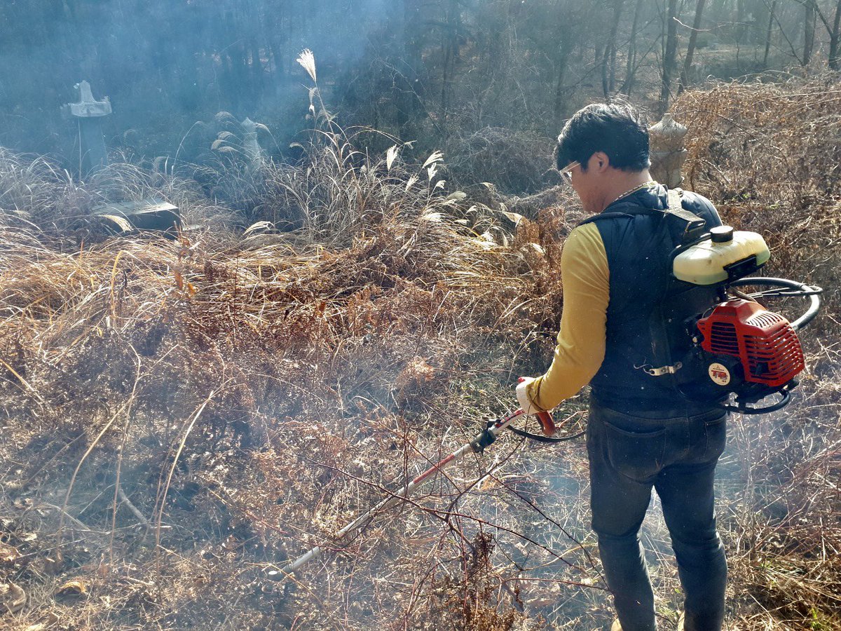 이번 설에 내가 사랑하는 할아버지 할머니 묘소 벌초를 하며 제 사랑을 드렸습니다