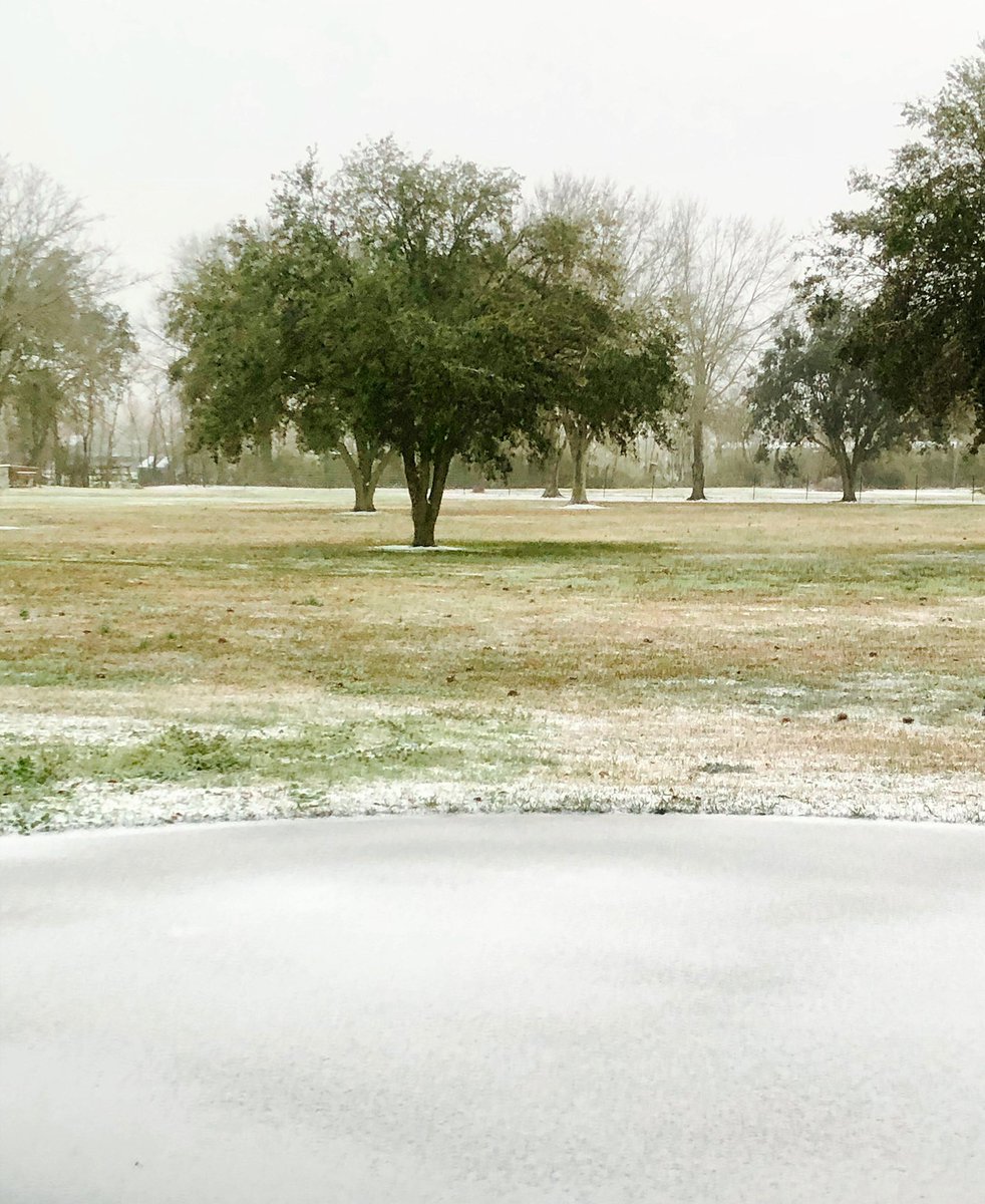 TigerGirlLSU1's tweet photo. Itβs pretty and not too bad here, but go away now ππ₯Ά#winterstorm2021 #OurProperty #SouthLouisiana https://t.co/jWMB24xCMb