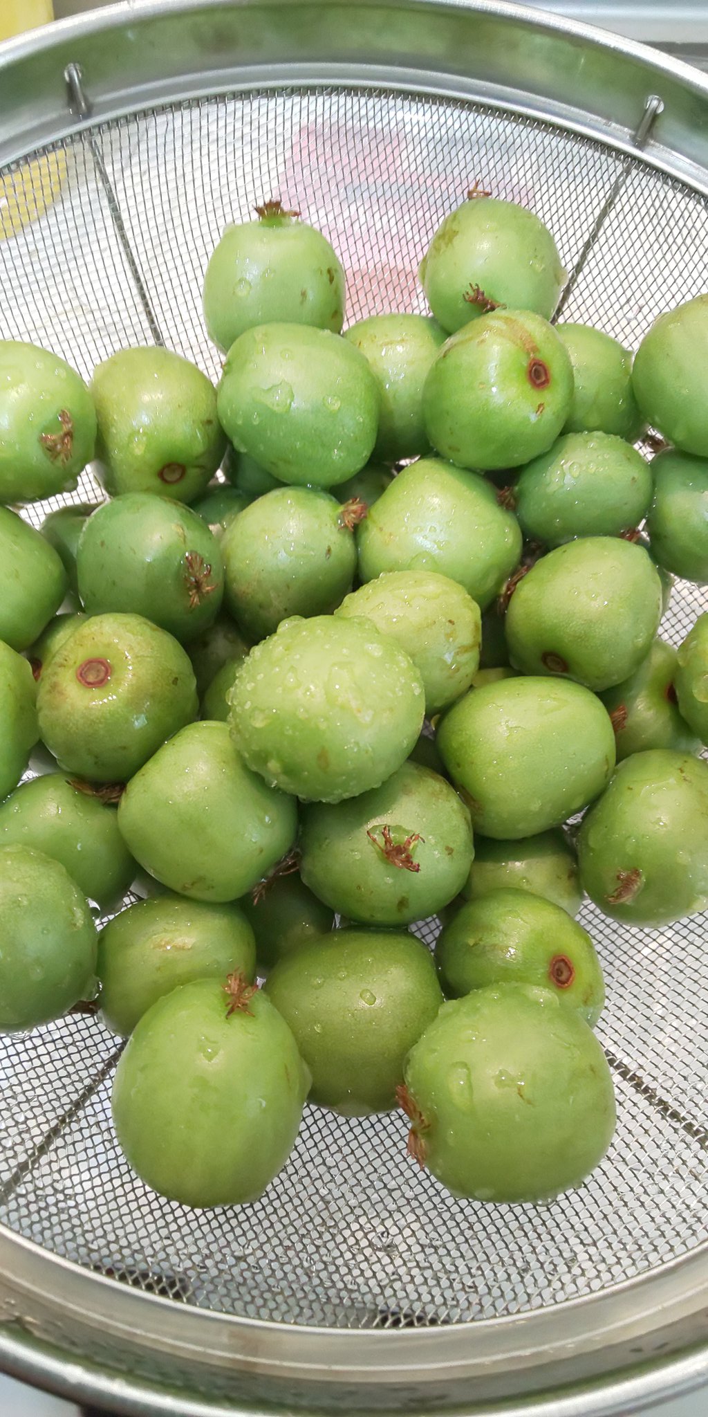 Naoko コストコに行ったら ベビーキウイと言うの見つけた 見た感じは梅の実みたいで 大きさはオリーブくらいかな 切ってみたら まんまキウイやん しかも甘い 美味しい スーパーではなかなか見たことないから またコストコへgoだわ