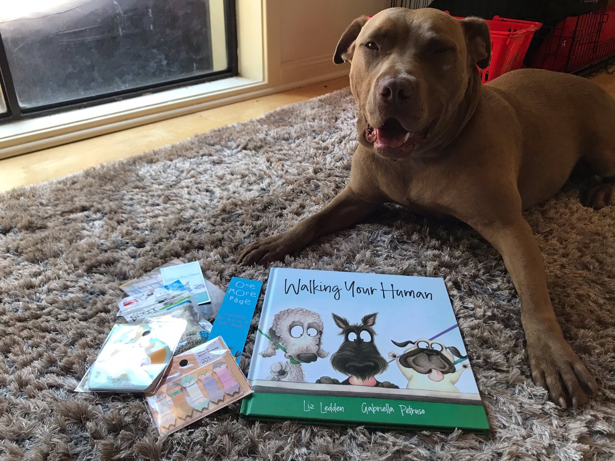 OdinThoughtsof's tweet photo. Mum enter me in book comp last week & guess wats...I wons 🥳🥳
I gots a book about #walkingyourhuman for my prize...it is sooo pawsome dat ive read it twice alreadies 🤓
Fank u @Liz_Ledden @LarrikinH @debratidball 🐾😍
I will def hab to shows @PeytonReads & #PuppyBookClub 😁🐾❤️ https://t.co/XxOvV5dENs