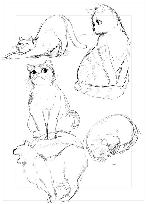 たくさん猫かいてる 