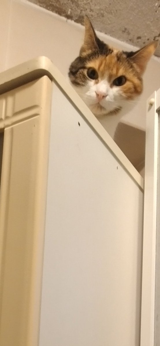 Senin amacın ne kızım #fincan 🤦🏻‍♀️