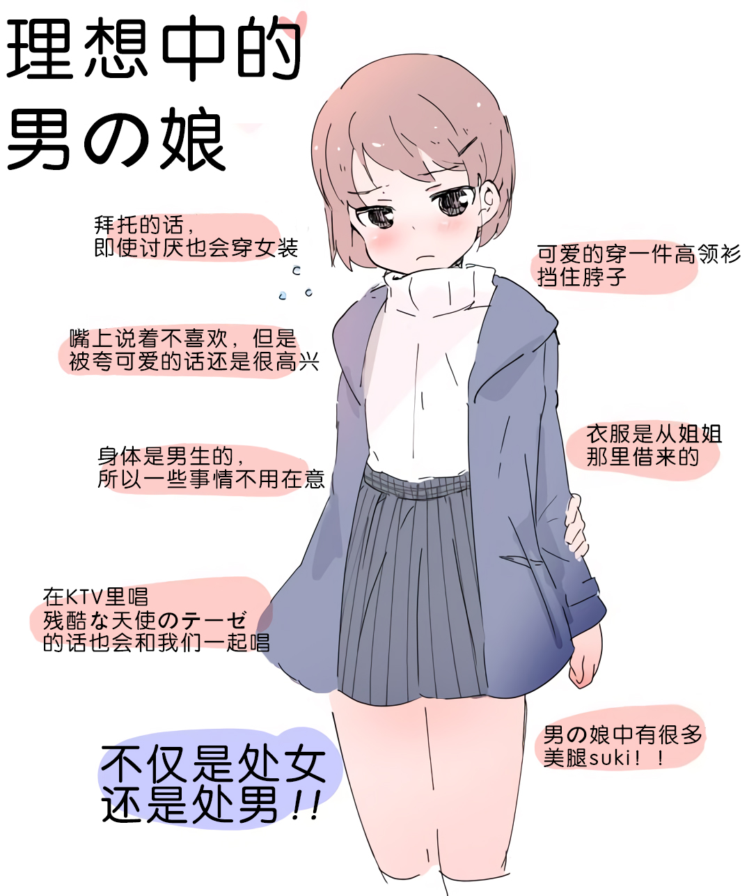 柯斗kun on X: 试着自己翻译了一下，意思应该准确吧男の娘伪娘t.cox9WItSD7jX  X