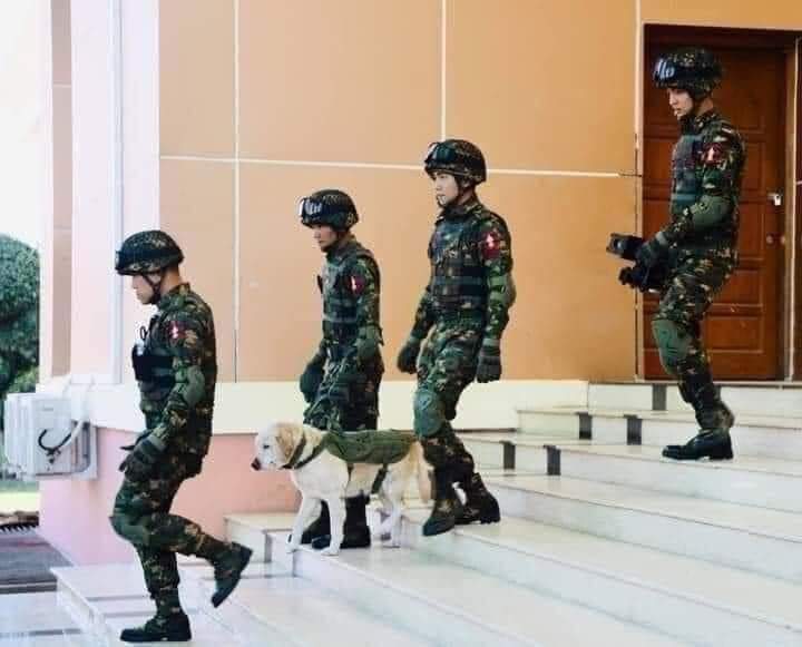 AungWaiNaing1's tweet photo. Chinese troops have joined the army of the Burmese junta#Save Myanmar 🇲🇲
#Save Burma🇲🇲
#We need Democracy
#Helf us and support our Leader
#Aung San Su Kyi government
#Westandwithaungsansukyi
#Just for myanmar
#SaveBurma
#Reject #the#Military
Please help Our leader https://t.co/2g8vW7dm8q