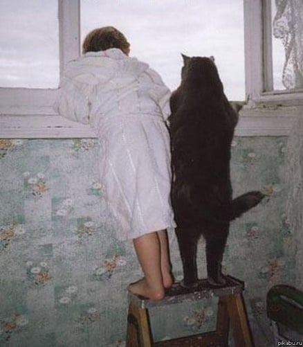 Они у тебя дома живут. Они у тебя дома живут. Они у тебя дома живут. Они у тебя дома живут. Фразы про дом и семью.