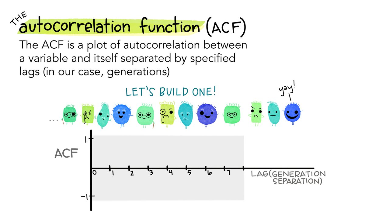 3/9: Let's start with a blank graph area & start building the ACF by finding the correlation between monsters separated by different time lags (in our case, generations, shown on the x-axis).
