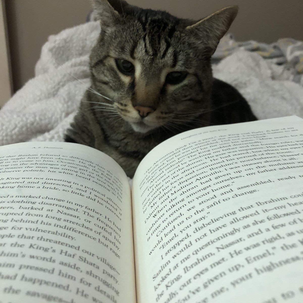 How am I supposed to read with that face?