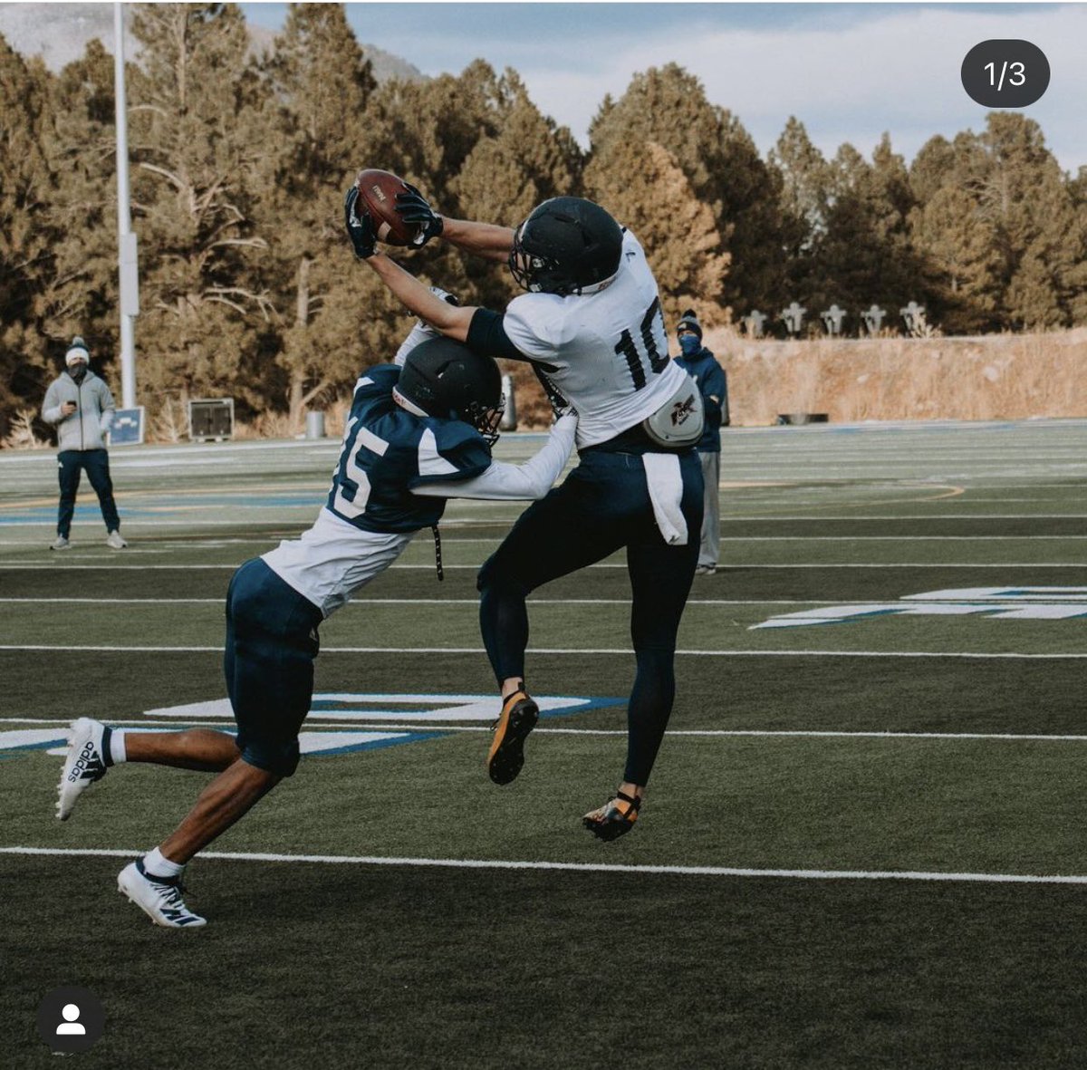 Junior Taylor tweet media